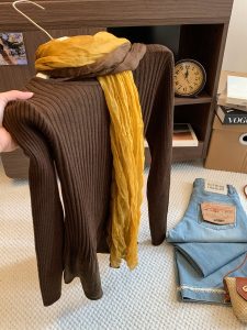 Early Autumn Mesh Knit Long Sleeve Top with Gradient Tulle Scarf Two Piece Set